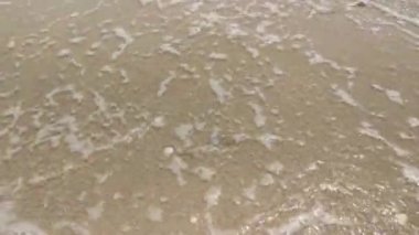 Çöpler kumlu sahilde kaldı.