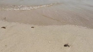 Çöpler kumlu sahilde kaldı.