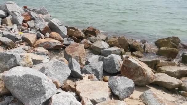 Śmieci Zostały Piaszczystej Plaży — Wideo stockowe