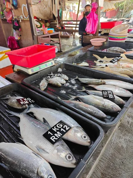 Perak Malásia Junho 2023 Cena Atividade Asiáticos Comprando Peixes Frutos — Fotografia de Stock