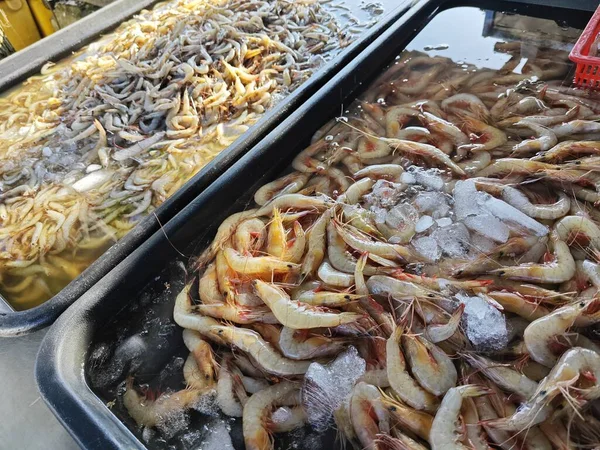 Crevettes Féeriques Sur Glaçon Vendre — Photo