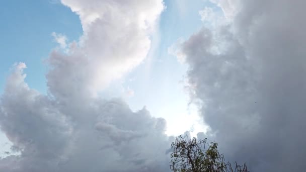 Vzhlížet Ranní Obloze Mezi Modrou Zlatou Hodinou — Stock video