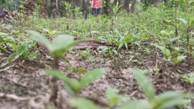 Erkek model kırsal yolda tek başına yürüyor.