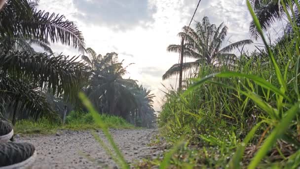 Erkek Model Kırsal Yolda Tek Başına Yürüyor — Stok video