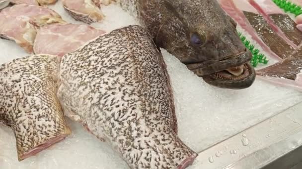 ปลา Grouper าบนก อนน าแข าหร บขาย — วีดีโอสต็อก