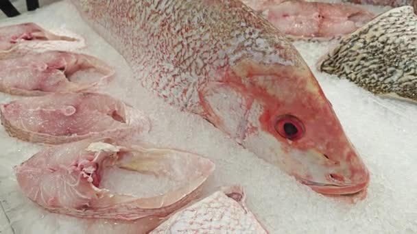 販売のための氷のキューブ上の黄金のスナッパー魚 — ストック動画