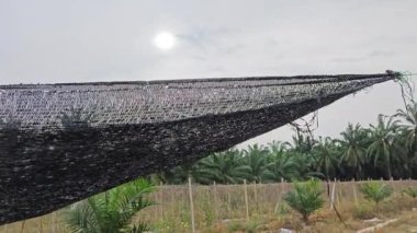 Eski ve yıpranmış siyah güneş gölgesi UV ağ solunda çiftlikte