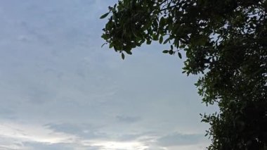 Akşam sahnesi alçak bataklık sahilinde