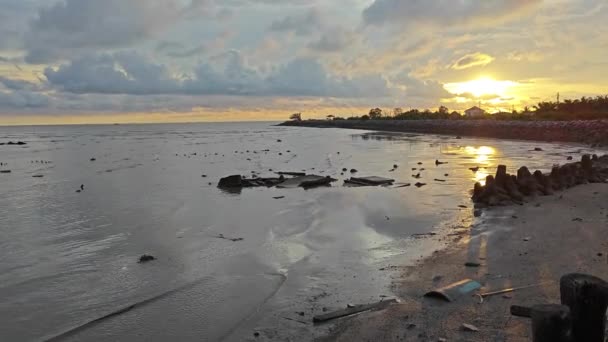 Evening Scene Low Tide Swampy Beach — Stock Video