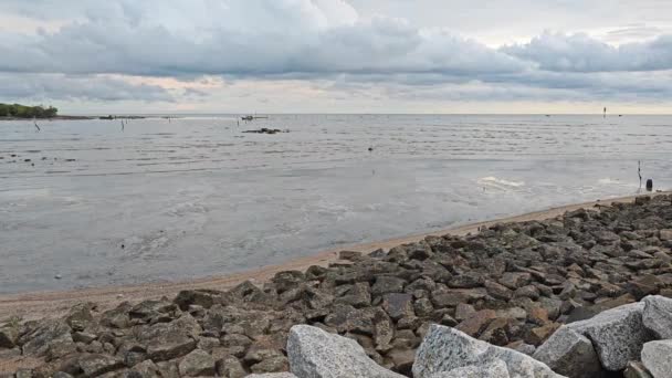 Dalgaların Çekildiği Bataklık Sahilinin Çevresindeki Gündüz Manzarası — Stok video
