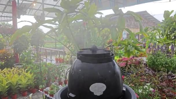 Outdoor Ceramic Vase Humidifier Houseplant — стокове відео