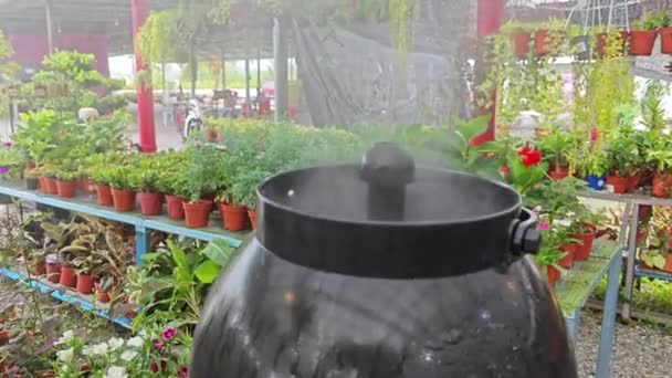 Outdoor Ceramic Vase Humidifier Houseplant — Video Stock