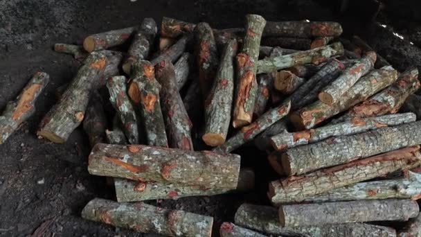 Dřevěné Uhlí Pece Kontejnery Kde Karbonizace Nebo Spalování Dřeva Produkovat — Stock video
