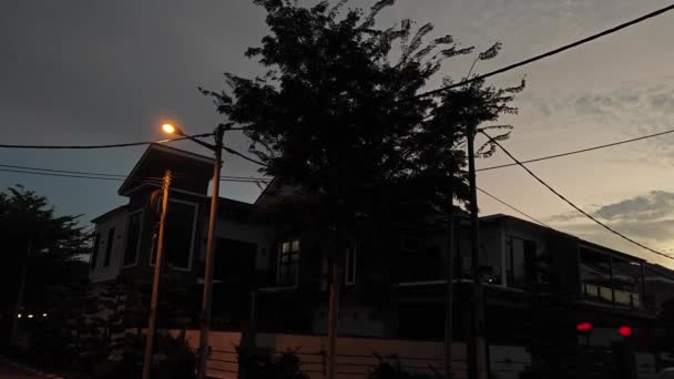가로등은 새벽에 아스팔트 도로를 — 비디오