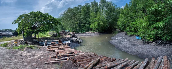 Сцена Лісових Мангрових Колод Транспортується Залишається Сушитися Березі Річки — стокове фото