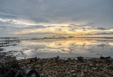 Alçak sulardaki bataklık sahilinde renkli bir akşam sahnesi.