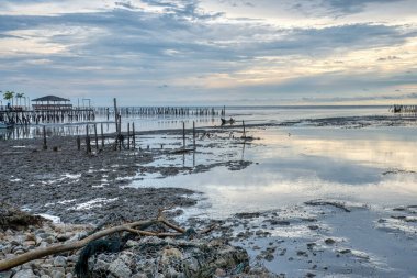 Alçak sulardaki bataklık sahilinde renkli bir akşam sahnesi.