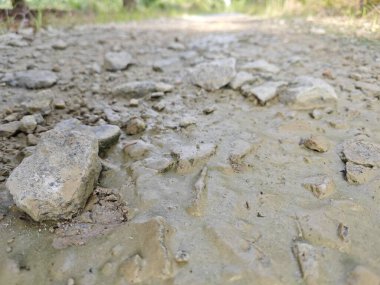 Yol boyunca taşlarla bırakılmış kurumuş su birikintisi. 