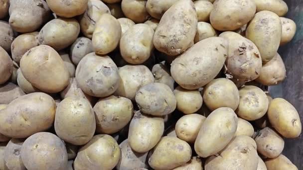 Variety Sizes Colors Potatoes Sale — Stock Video