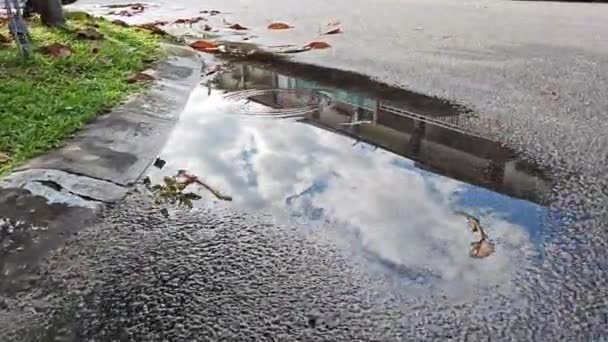 Στάσιμο Νερό Της Βροχής Από Πεζοδρόμιο Του Δρόμου Άσφαλτο — Αρχείο Βίντεο