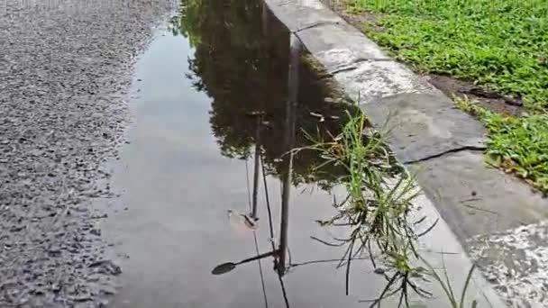 Stilstaand Regenwater Bij Stoeprand Van Asfaltweg — Stockvideo