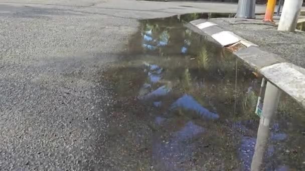 Stojatá Dešťová Voda Obrubníku Asfaltové Ulice — Stock video