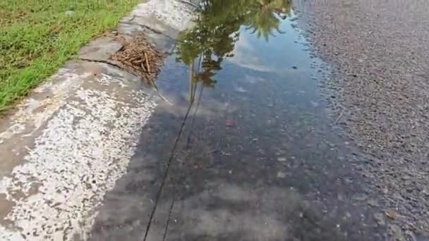 Air Hujan Stagnan Oleh Tepi Jalan Aspal — Stok Video