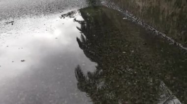 Durgun yağmur suyu asfalt sokağın kaldırımında