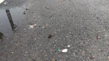 Durgun yağmur suyu asfalt sokağın kaldırımında 