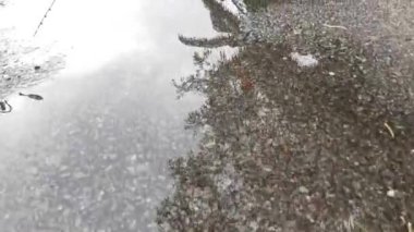 Durgun yağmur suyu asfalt sokağın kaldırımında 