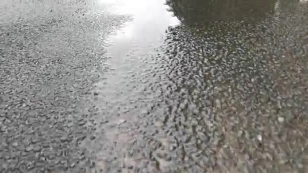 Stagnacja Wody Deszczowej Przy Krawężniku Ulicy Asfaltowej — Wideo stockowe