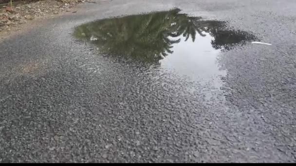 Agua Lluvia Estancada Junto Acera Calle Asfaltada — Vídeos de Stock