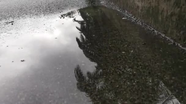 Στάσιμο Νερό Της Βροχής Από Πεζοδρόμιο Του Δρόμου Άσφαλτο — Αρχείο Βίντεο