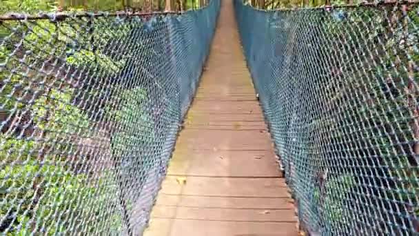Ponte Corda Áspera Floresta Manguezais — Vídeo de Stock