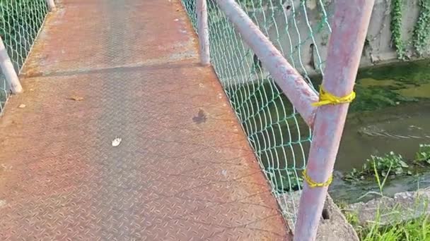 Híd Keresztezi Kültéri Beton Vízelvezető Rendszert Város Utcájában — Stock videók