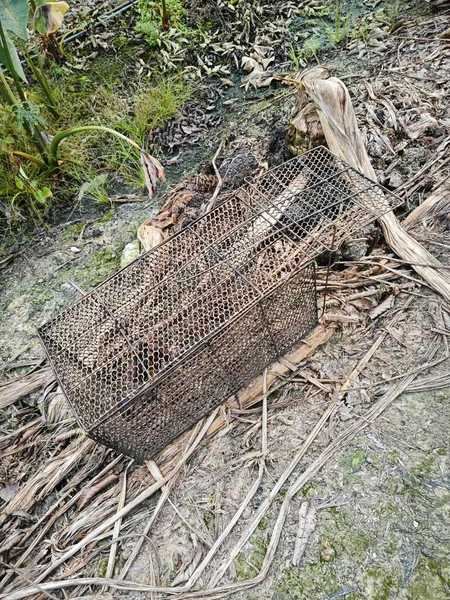 big rusty animal metal trap cage at the farm.