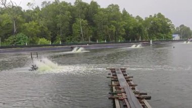 Balık havuzu karides çiftliği tarım makinesi için Paddle Wheel Aerator