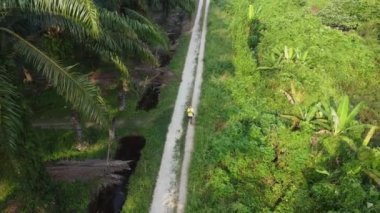 Bir adam ıssız tarlalarda dikilirken hava görüntüsü alıyor..