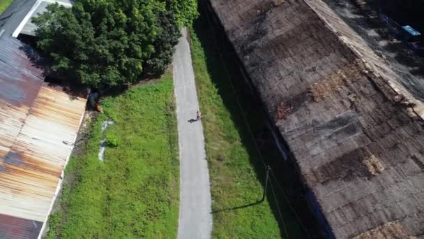 Людина Бере Повітряні Кадри Стоять Ізольованому Ландшафті Плантації — стокове відео