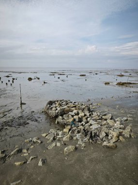 Alçak deniz kıyısında bataklık çamurlu sahil ortamı.
