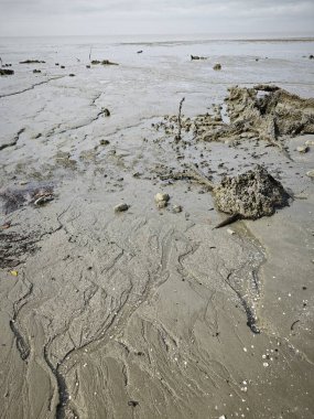 Alçak deniz kıyısında bataklık çamurlu sahil ortamı.