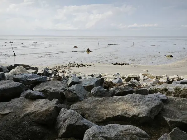 Alçak deniz kıyısında bataklık çamurlu sahil ortamı.