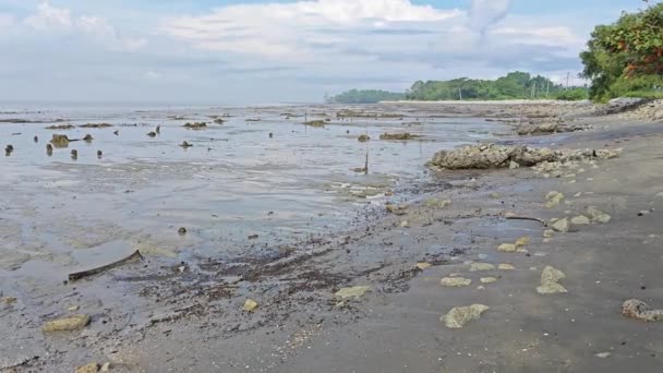 Alçak Gelgit Sırasında Bataklık Çamurlu Sahil Ortamı — Stok video
