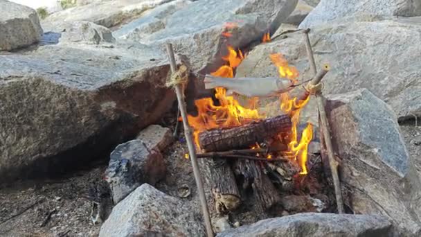 Gotowanie Ryb Drewnianym Ognisku Nad Morzem Pobliżu Skały — Wideo stockowe