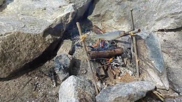 Gotowanie Ryb Drewnianym Ognisku Nad Morzem Pobliżu Skały — Wideo stockowe