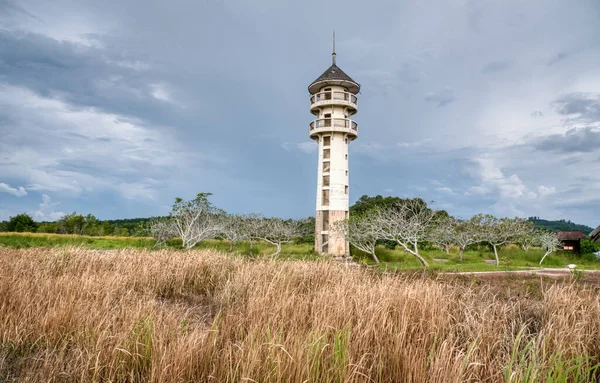 an idle lighthouse tower in the overgrown landscape.