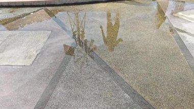 Rıhtımdaki eski bir metal yel değirmeninin yansıtıcı birikintisine bakıyordum..