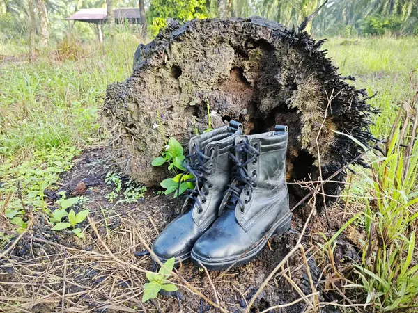 old thrown away leather boot found in the wild meadow.