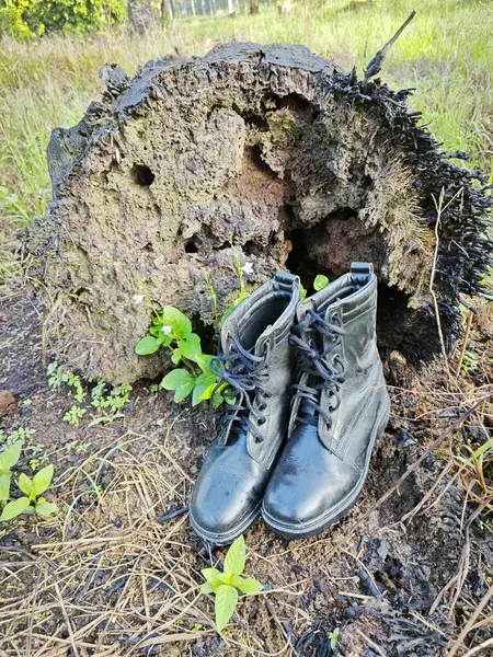 old thrown away leather boot found in the wild meadow.