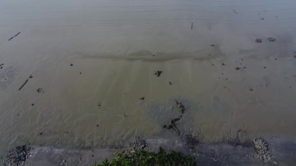 Повітряний Панорамний Вид Болотний Грязьовий Пляж Навколишнього Середовища Пляжі Низького — стокове відео